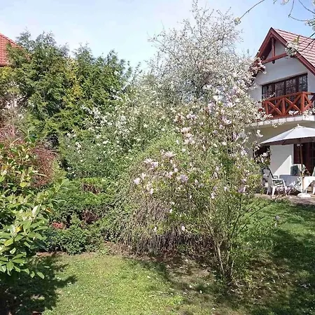 Pine Grove * Gödöllő