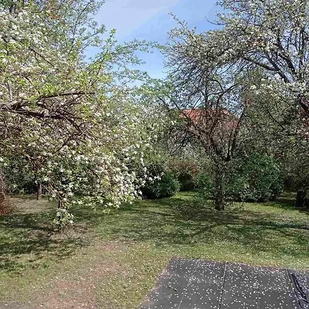 Villa Pine Grove