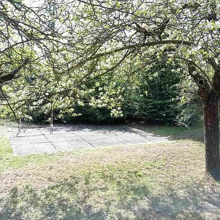 Villa Pine Grove Gödöllő