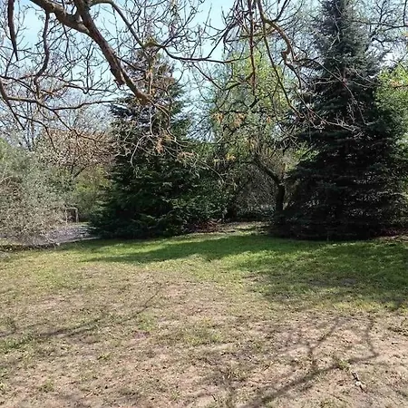 Pine Grove * Гёдёллё