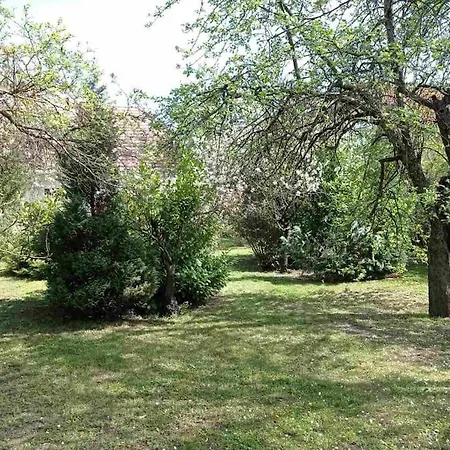 Villa Pine Grove